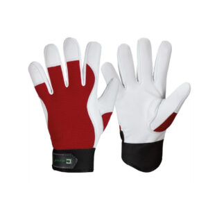 Handschuhe CARVER - Elysee®